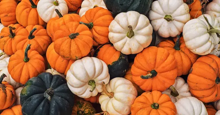 Pumpkins Stacked