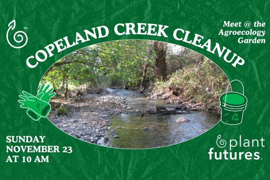 Copeland Creek Cleanup with Plant Futures on Sunday November 23rd at 10AM