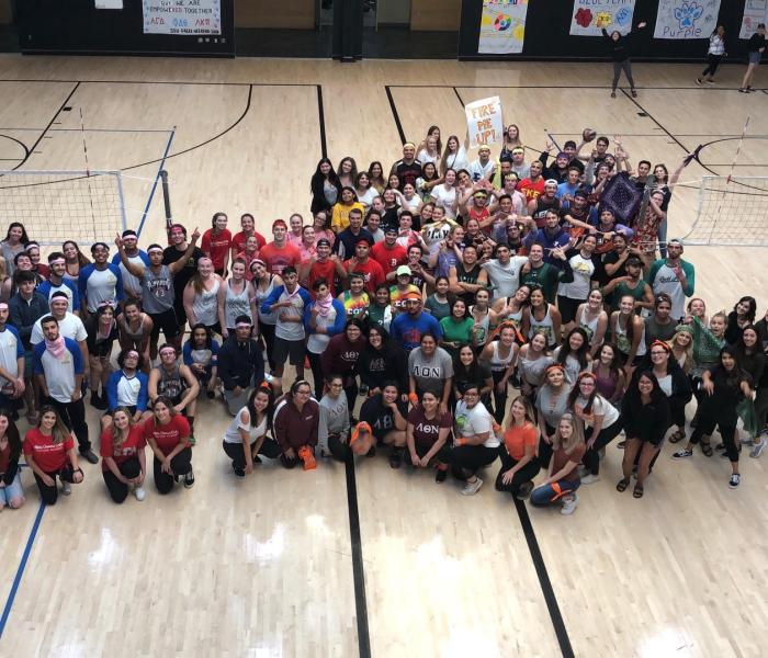 greek life group pic