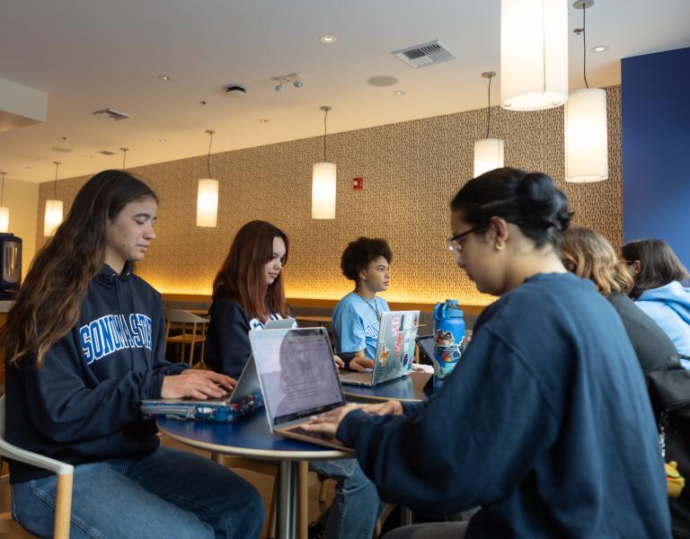 Students looking for online resources