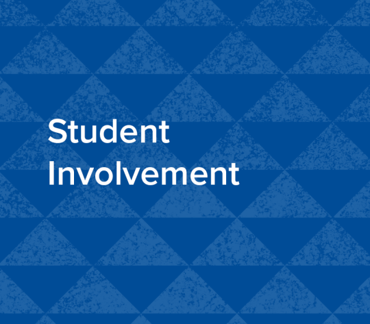 White text reads Student Involvement. The background is a repeating pattern of triangles in two shades of blue