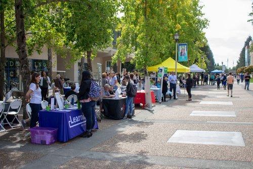 two lines of tables in a plaza with trees on a sunny day