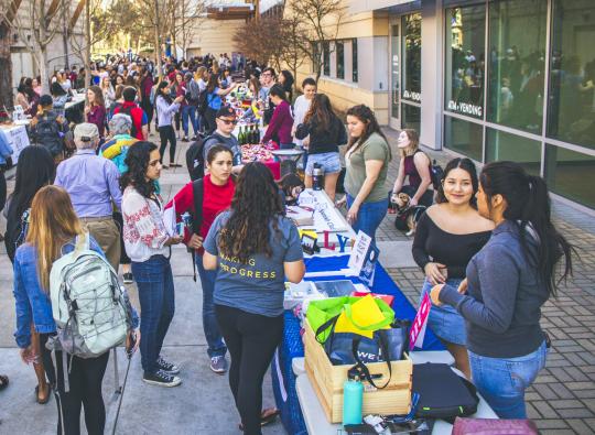 All recognized student organizations tabling at seawolf plaza