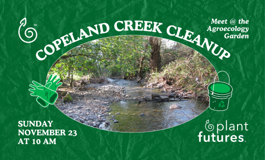 Copeland Creek Cleanup with Plant Futures on Sunday November 23rd at 10AM