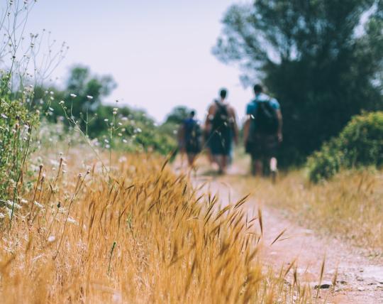 Photo of three people hiking 