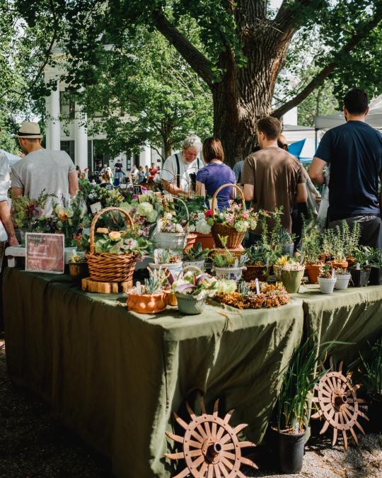 Photo of Farmers Market Booth 