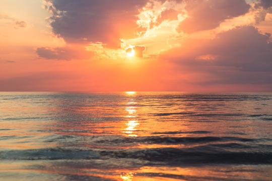 Photo of Beach Sunset